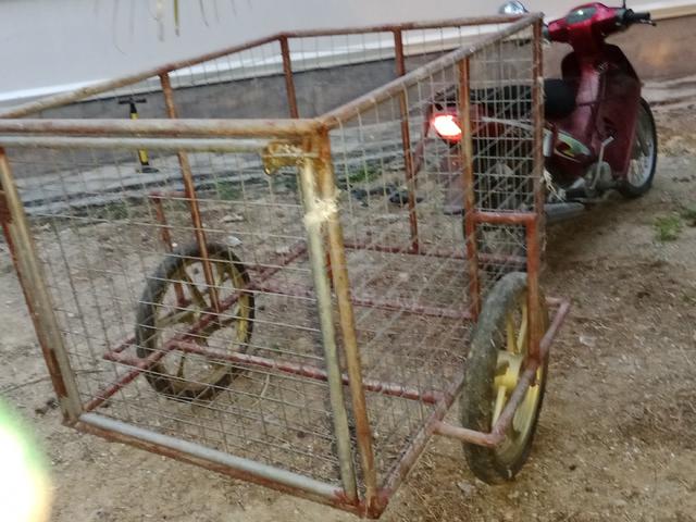 Carousel Image