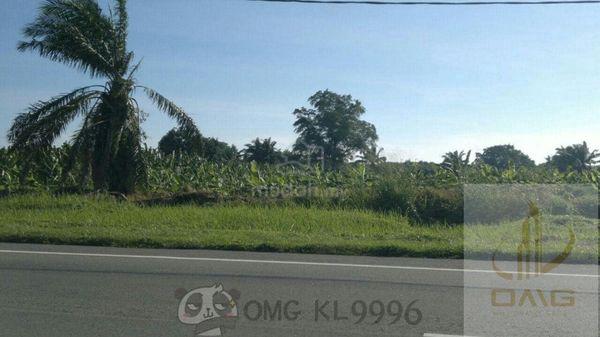 Banting Kuala Langat 60 Acres Land Facing Main Road Freehold Land 1