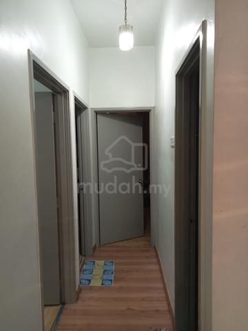 Palm Palladium 3