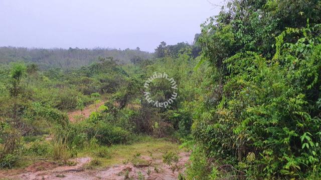 Lot Tanah Di Naka Untuk Di jual 5