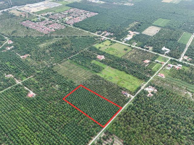 Tanah Pertanian Kelapa Sawit Untuk Dijual 1