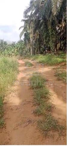 Strategic Flat Land for Sale Mawai Kota Tinggi Freehold Infrastructure 1