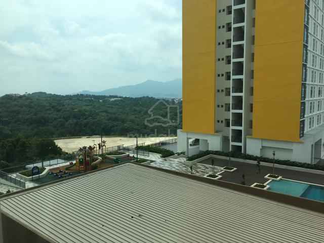 MesaHill 1