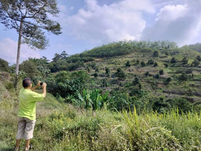 Raub Town Area Durian Farm for sell 1