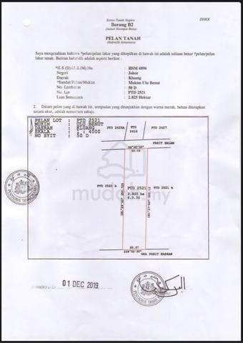 Tanah Pertanian ULU BENUT PONTIAN JOHOR Utk di Jual 6.98 HEKTAR 2025 1