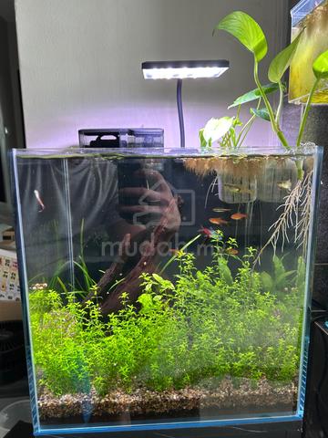 Fish Tank Complete Set - Pets for sale in Jelutong, Penang