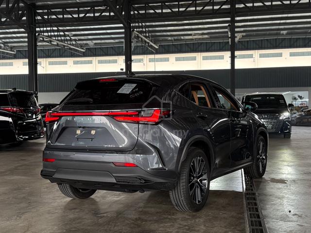 Lexus NX250 LUXURY Grey Color Rare Low Mileage - 2