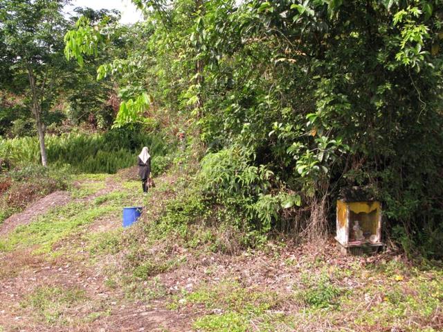 Tanah Pertanian Rasa, Hulu Selangor Untuk Dijual 1