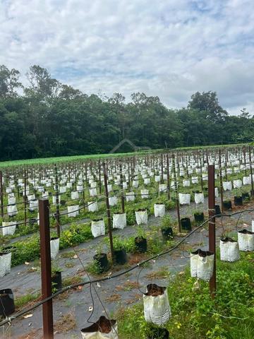 Tanah 3.3 Ekar Hulu Langat Luas&g 1