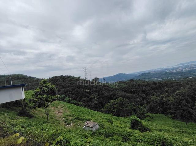 Kokol land 1