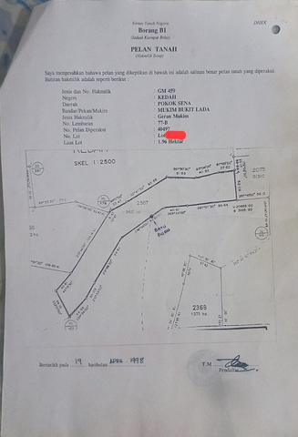 Tanah kelapa sawit untuk dijual 5