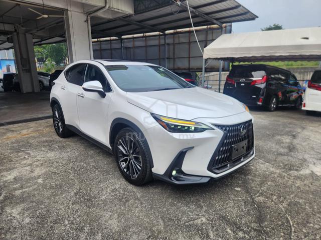 2023 Lexus NX250 Luxury 5A 8,000km Sun Roof HUD - 1