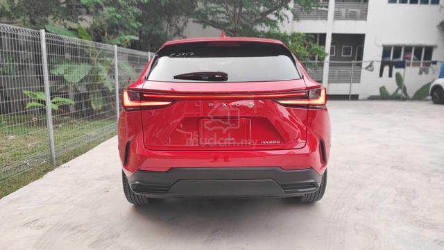 2023 Lexus NX 250 2.5 LUXURY (A) - 5