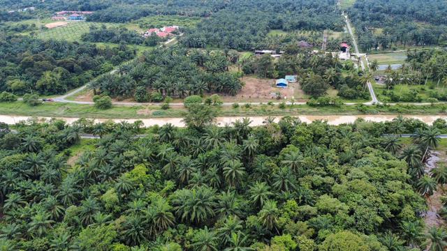 Tanah Pertanian 2 Ekar, Lokasi Strategik, Salak Tinggi, Labu Sepang 1