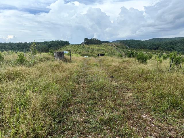 3 acres Empty Land 2nd Layer Sedili Kecil 1
