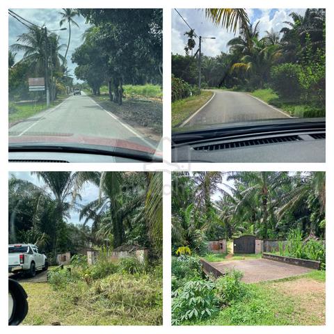 [FREEHOLD] Beli Tanah Pertanian+FREE Rumah Banglo+Hasil Kelapa Sawit 1