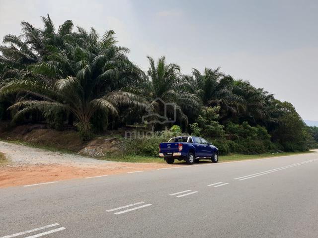 Kota Tinggi Agriculture Land With 15Acres For Sale 1