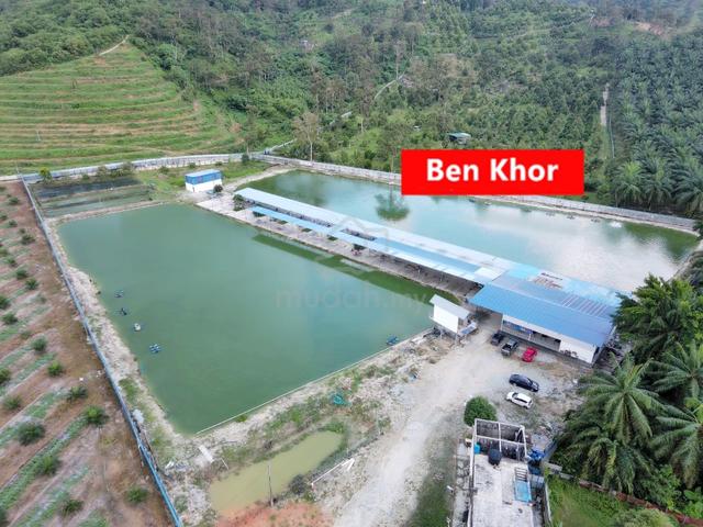 6.356 Acres| Large Freshwater Fish Fishing Spot | Taiping | PERAK 1