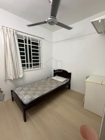 Mixed Gender Single Room at Gelugor 1