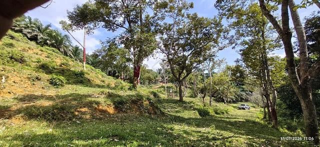 Tanah Kebun Untuk Di Jual Di Gua Musang 1