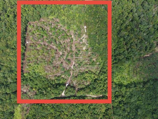 Below Market 5.77 Acres Freehold Malay Reserved Land in Hulu Bernam 1