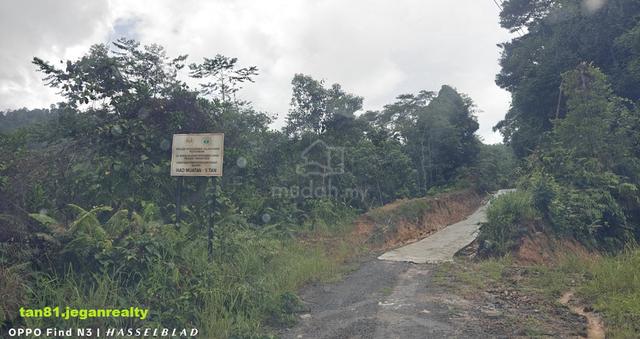Ulu Kimanis Papar Kg Masalak (Small Hill) Rubber Land . CL19acs ((( F 1
