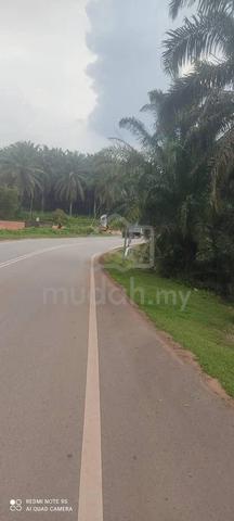 ↔️INTERNATIONAL LAND FOR SALE | PALOH Kluang 2