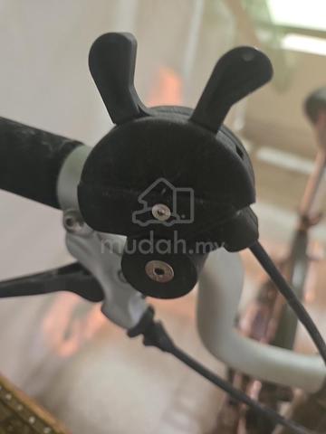 Carousel Image