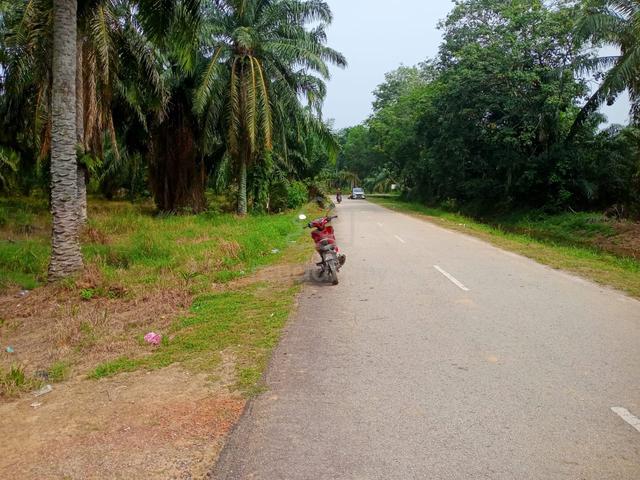 Tanah grand individu,Parit Mahang Selangor,pertanian kediaman 1