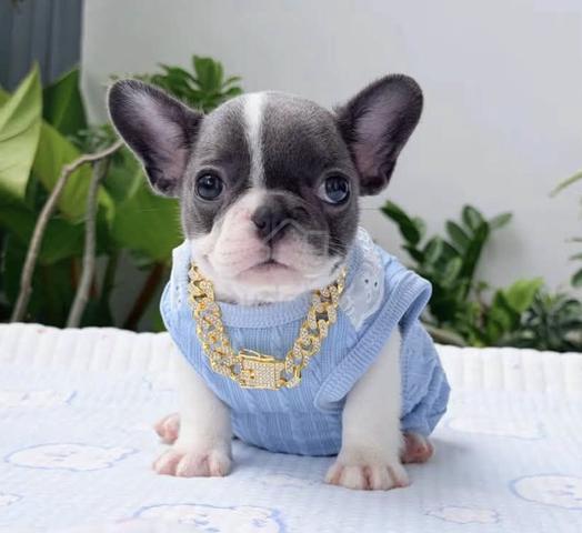 Carousel Image Selected