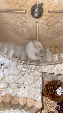 Carousel Image