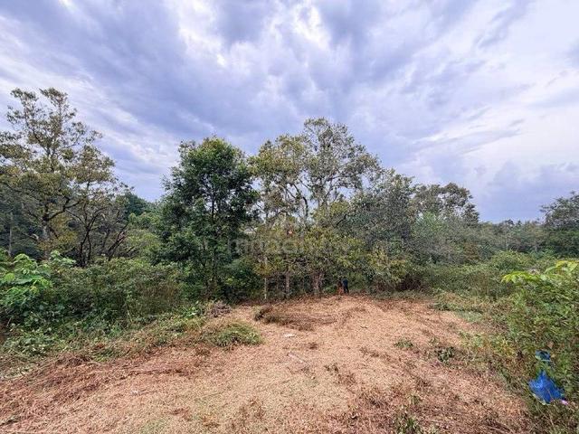 TANAH KEBUN SRI BANDI, KEMAMAN UNTUK DiJUAL ❗ 1