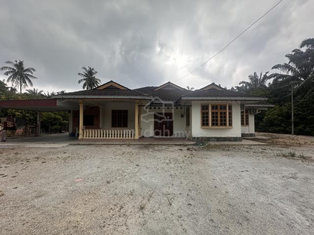 Untuk Disewa 1