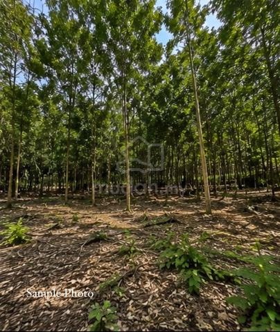 FOR SALE RAWANG INDUSTRIAL LAND 2 titles 1