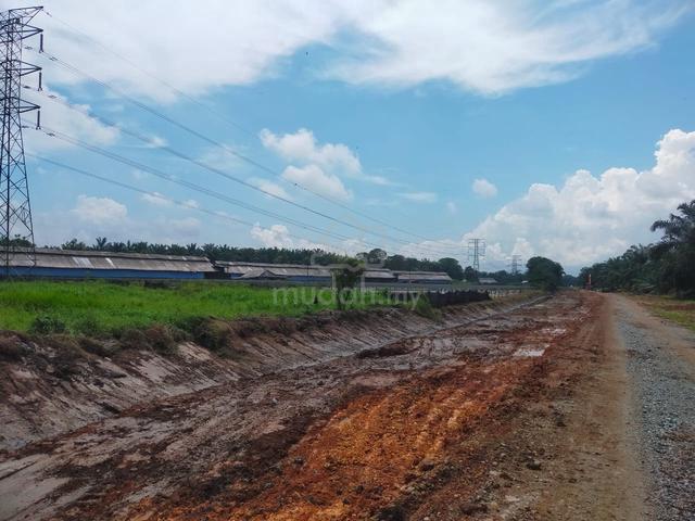 Tanah pertanian untuk disewa 1