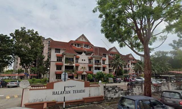 Halaman Teratai 1