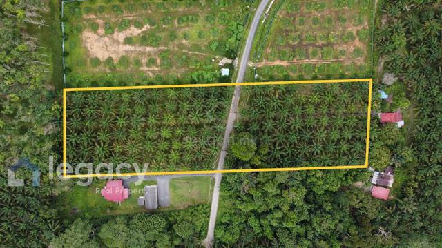 Tanah Pertanian Sawit untuk Dijual – Kg Rasau, Slim River, Perak 1