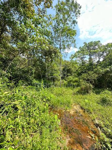 3 Ekar Tanah Di Kawasan Bukit Lokasi Hijau Sesuai Untuk Dusun 2