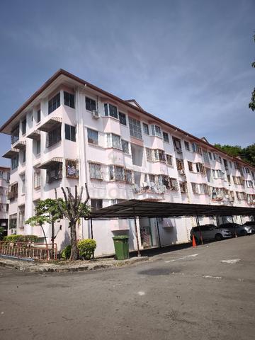 Beverly Hills 3 1