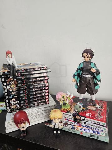Carousel Image Selected