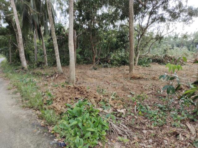 Tanah Tepi Jalan Manong 1
