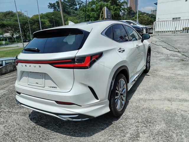 2023 Lexus NX 250 Version L P/R 360Cam M/Bodykit - 4