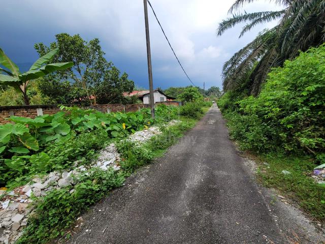 Kamunting Perak Agriculture Land 5