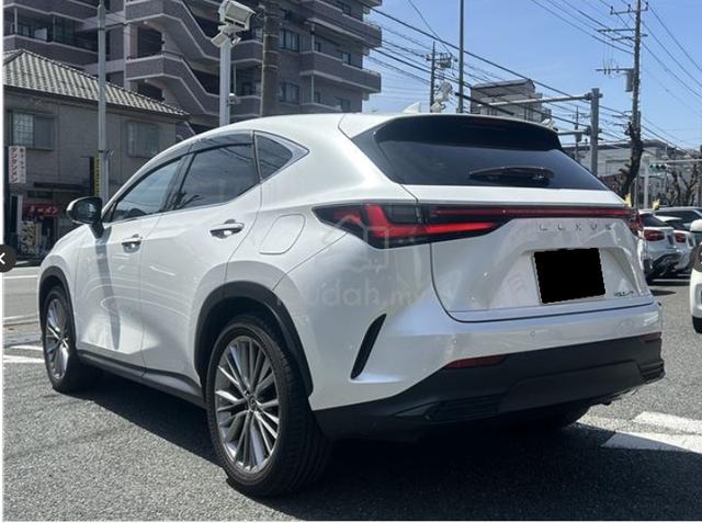 2023 Lexus NX250 2.5 LUXURY MY22 (A)*MARK LEVINSON - 4