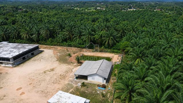 [FREEHOLD] Melaka Kesang Rim Jasin Nice Agriculture Land 1