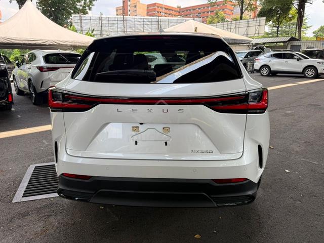 2023 Lexus NX 250 2.5 BASE GRADE (A) - 4