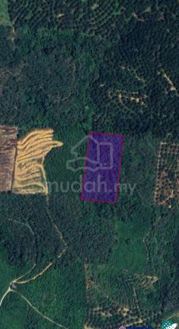 Tanah Pertanian Untuk Dijual Suak Pelang Sg siput Perak 1