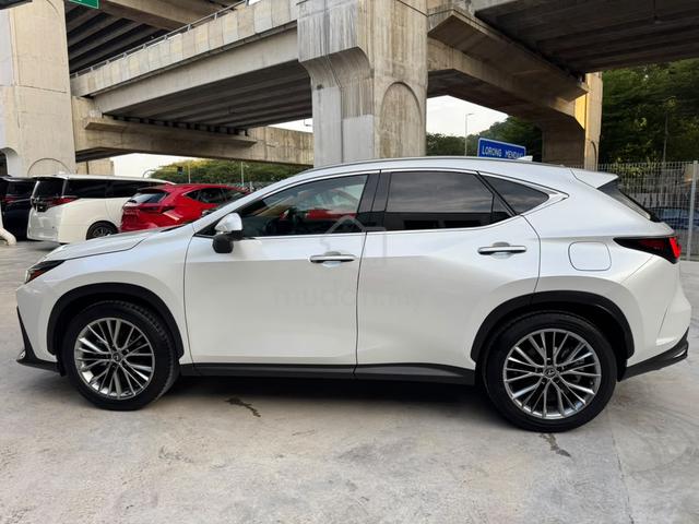 2023 Lexus NX250 2.5 VERSION L / PANROOF DIM HUD - 3