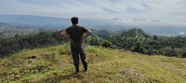 GERIK Durian Farm 47acres Freehold  1