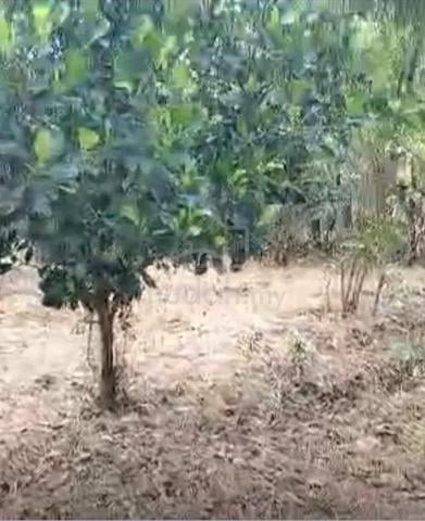 tanahh untuk dijual.... 1